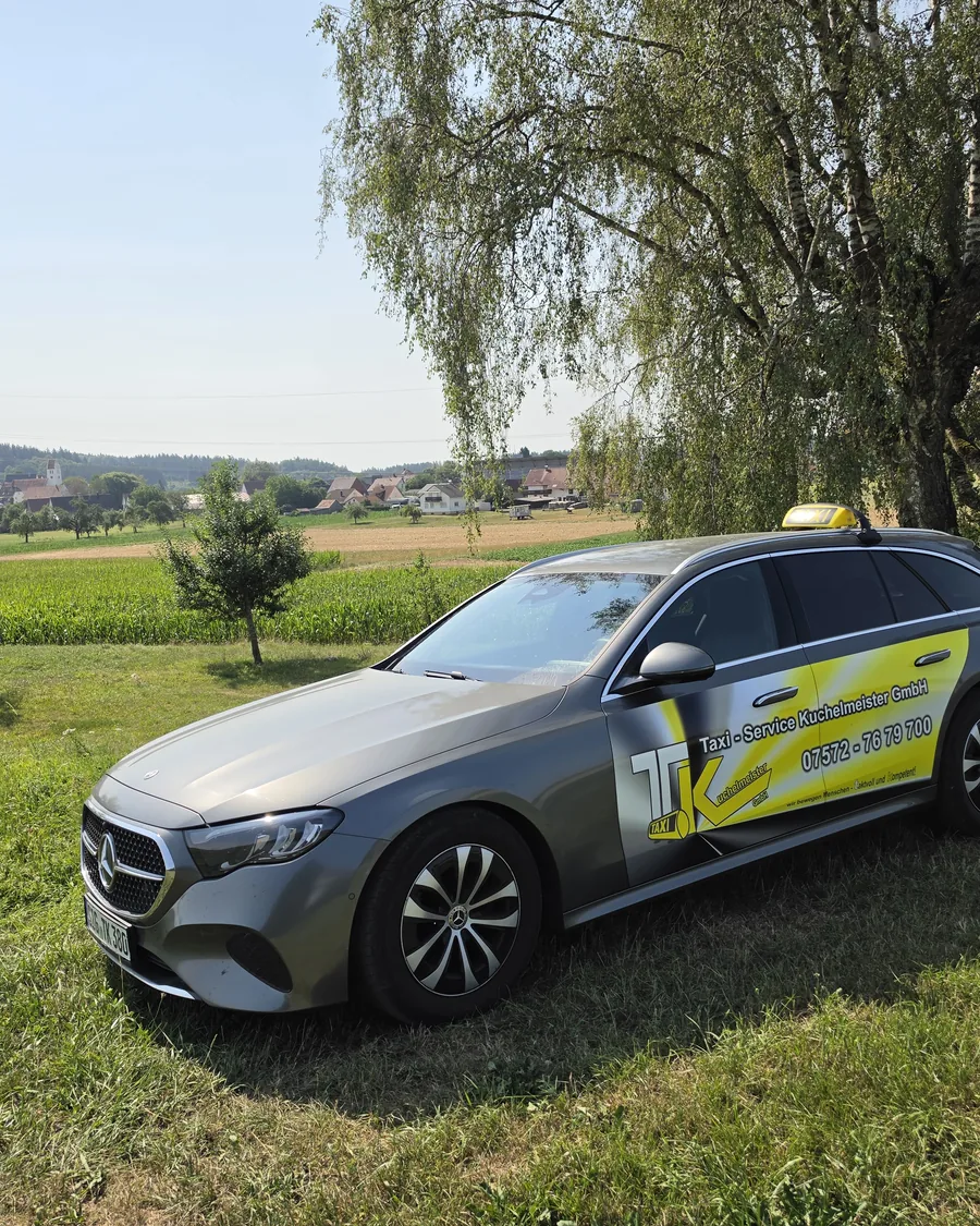 Silbergraue Mercedes E-Klasse mit gelber Beschriftung und Taxischild, seitlich vor einer Wiese mit Weide
